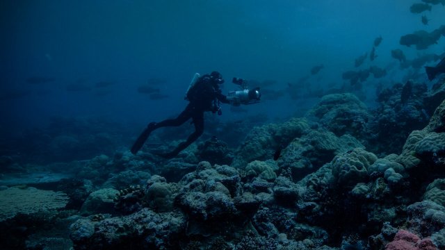 Màn đêm trên Trái Đất: Thước phim trong bóng tối (Night on Earth: Shot in the Dark 2020)