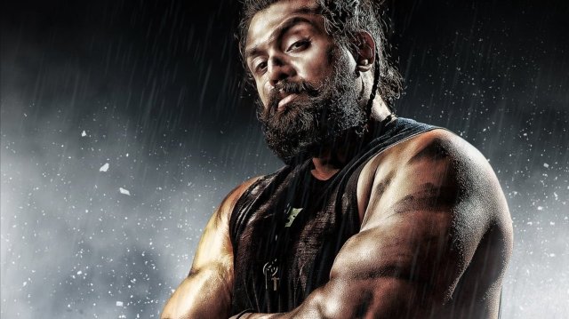 Martin (Martin 2024)