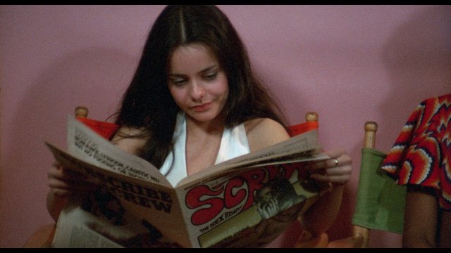 Massage Parlor Murders! (Massage Parlor Murders! 1973)