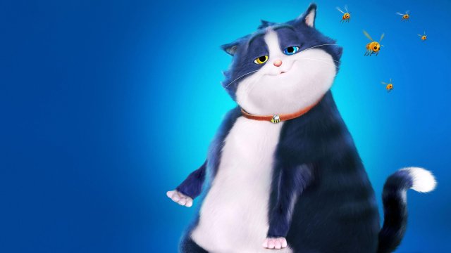 Mèo Mập Mang 10 Mạng (10 Lives 2024)