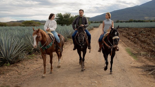 Monarca (Phần 2) (Monarca (Season 2) 2021)