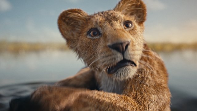 Mufasa: Vua Sư Tử (Mufasa: The Lion King 2024)