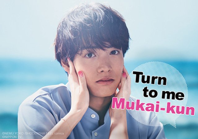 Mukai ơi, nhìn em này (Turn to me Mukai-kun 2023)