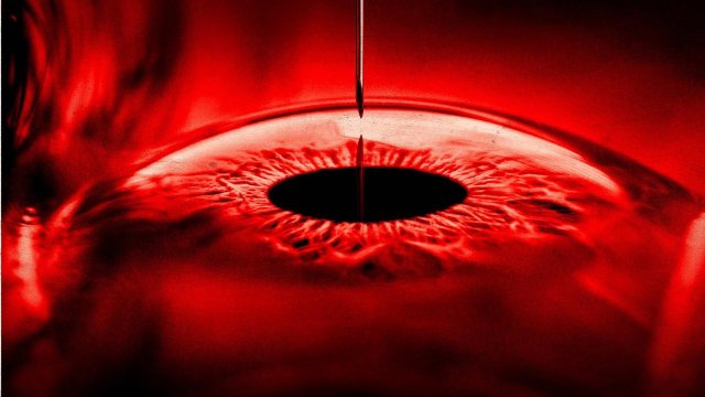 Ngôi Nhà (The Home 2025)