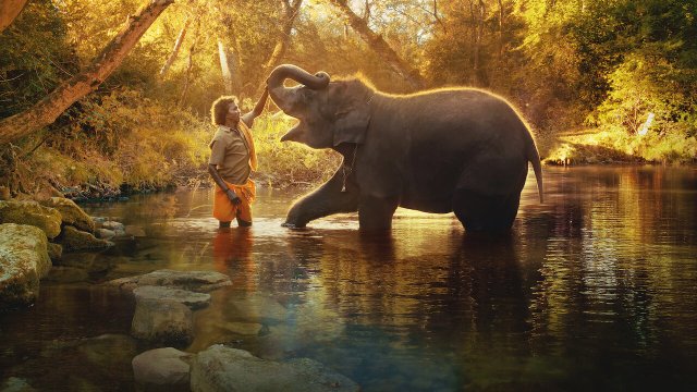 Người chăm voi (The Elephant Whisperers 2022)