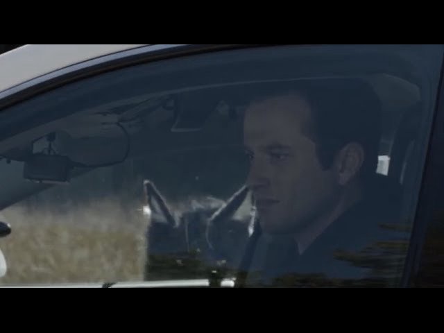 Người Chó 2: Sự Nổi Giận Của Đàn Con (Dogman 2 2013)