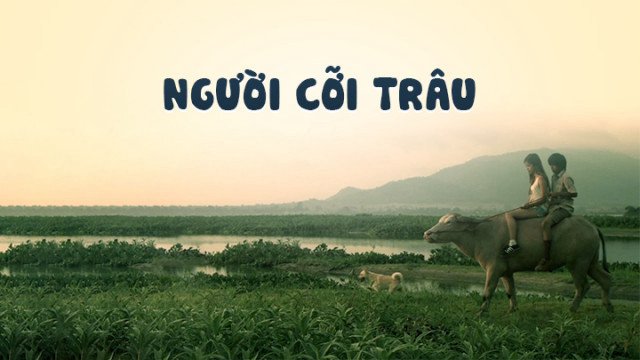 Người Cỡi Trâu (Buffalo Rider 2015)
