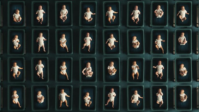 Người đàn ông với 1000 đứa con (The Man with 1000 Kids 2024)