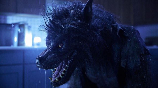 Người Sói (Werewolves 2024)