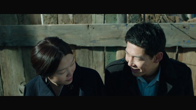 những con mòng biển (The Gulls 2015)