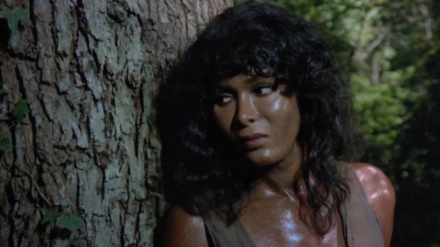 Nữ Tù Đào Tẩu (Escape from Hell 1980)