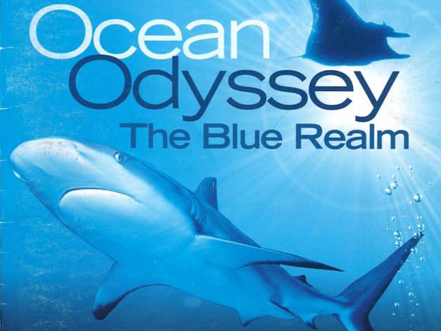 Ocean Odyssey: The Blue Realm (Ocean Odyssey: The Blue Realm 2004)