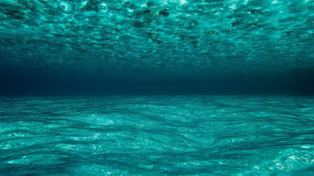 OceanWorld 3D (OceanWorld 3D 2009)