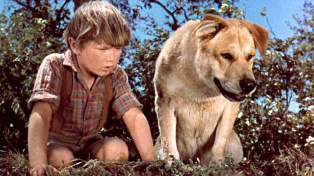 Old Yeller (Old Yeller 1957)