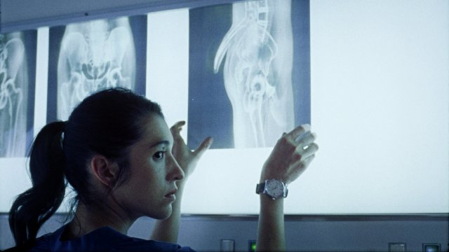 Piaffe (Piaffe 2023)