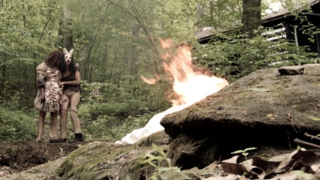 Plank Face (Plank Face 2016)