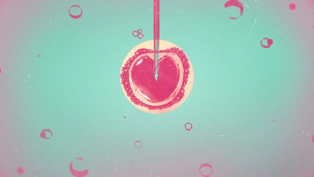 Rắc Rối Bé Bi (Phần 2) (Baby Fever Season 2 2022)