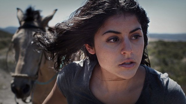 Ranh Giới Thù Địch (Hostile Border 2015)