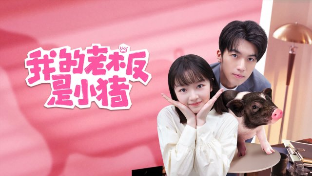 Sếp Của Tôi Là Chú Lợn Nhỏ (My Piggy Boss 2024)