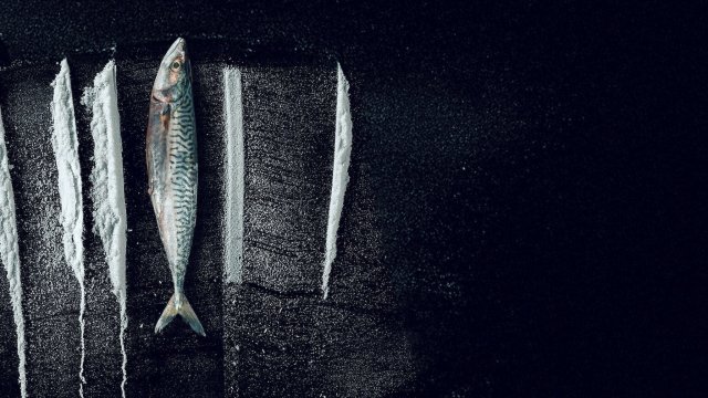 Sống Triều Đổi Vận: Câu Chuyện Siêu Thực Tế Rabo De Peixe (Turn Of The Tide: The Surreal Story Of Rabo De Peixe 2025)