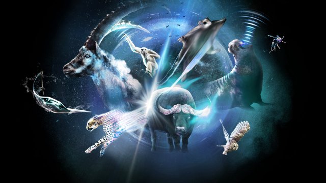 Super/Natural (Super/Natural 2022)