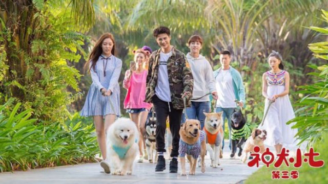 Thần Khuyển Tiểu Thất 3 (Hero Dog (Season 3) 2019)