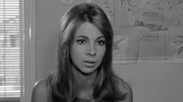 Tháng 8 đổ lửa (The Hot Month of August 1966)