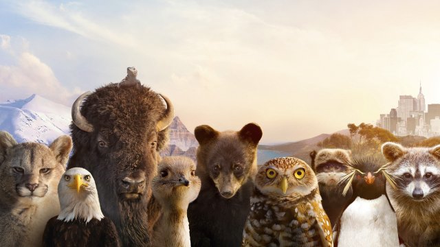 The Americas (The Americas 2025)