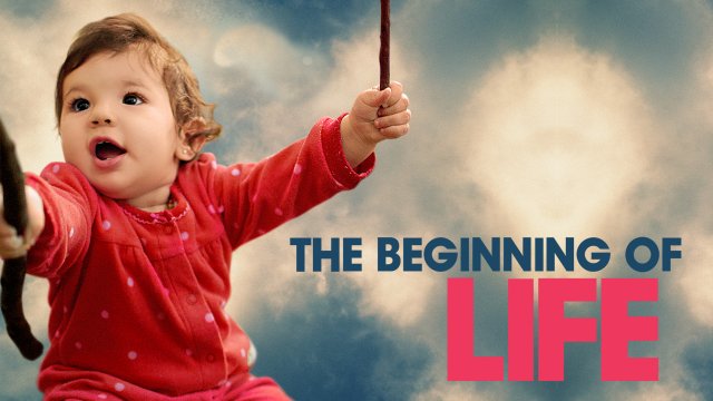 The Beginning of Life (The Beginning of Life 2016)