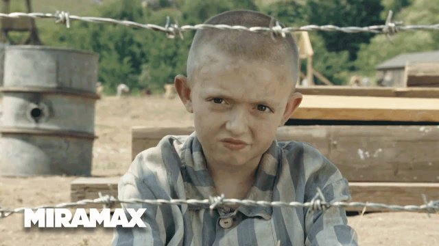 The Boy in the Striped Pajamas (The Boy in the Striped Pajamas 2008)