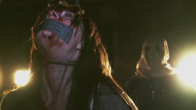 The Den (The Den 2013)