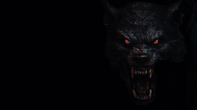 The Fairfield County Four (The Fairfield County Four 2026)