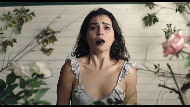 The Free Fall (The Free Fall 2021)