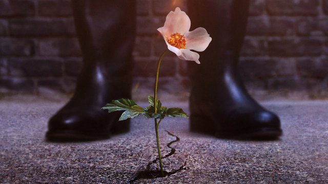 Thế Giới Của Phát Xít (The Man In The High Castle 2015)