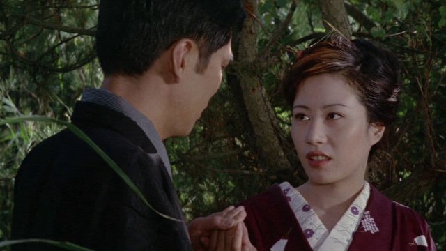 Thế Giới Kỹ Nữ (The World of Geisha 1973)