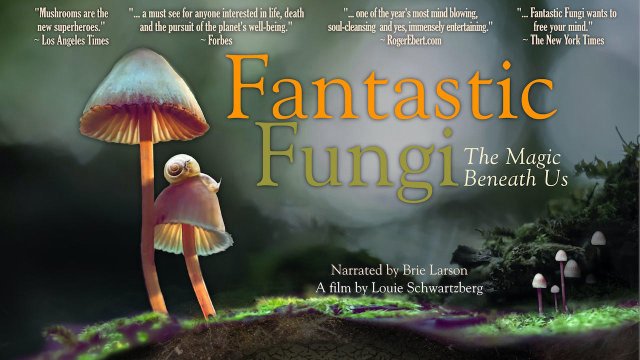 Thế giới nấm diệu kỳ (Fantastic Fungi 2019)