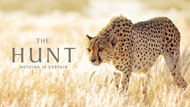 The Hunt (The Hunt 2015)