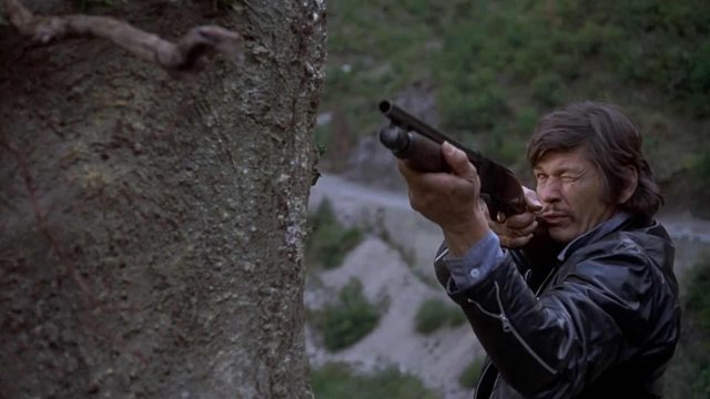 The Mechanic (The Mechanic 1972)