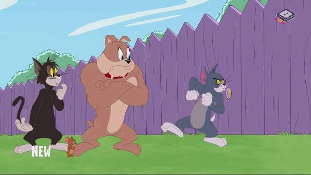 The Tom and Jerry Show (Phần 3) (The Tom and Jerry Show (Season 3) 2014)