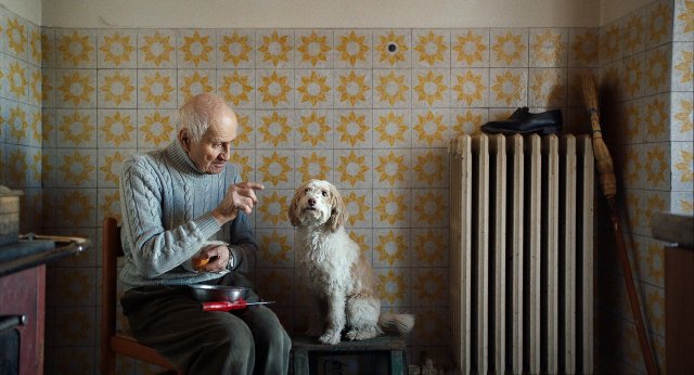 The Truffle Hunters (The Truffle Hunters 2020)