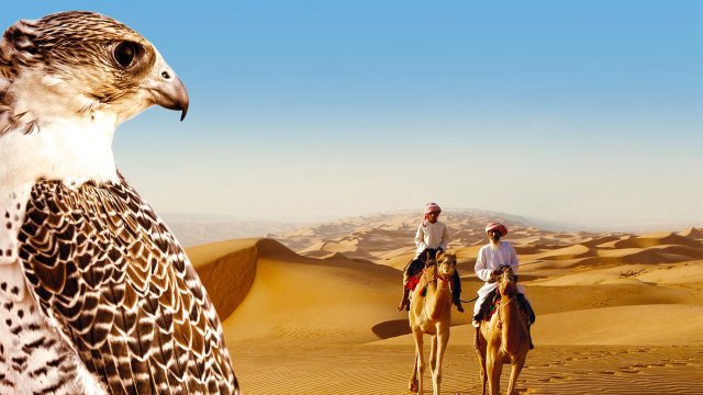 Thiên Nhiên Hoang Dã Ả Rập (Wild Arabia 2013)