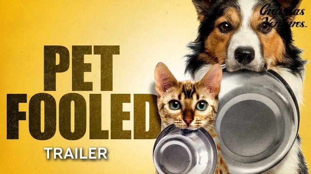 Thú Cưng Đang Ăn Gì? (Pet Fooled 2016)