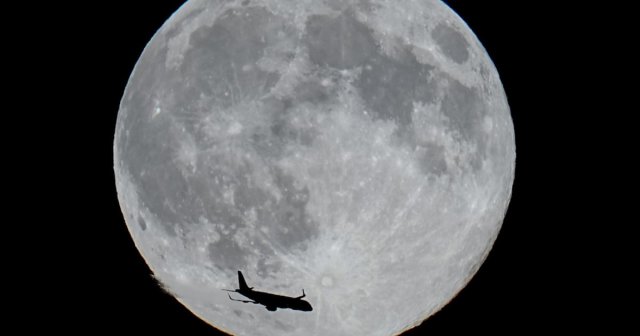 Tiệc Quái Thú Dưới Ánh Trăng (Beasts Under The Moon 2003)