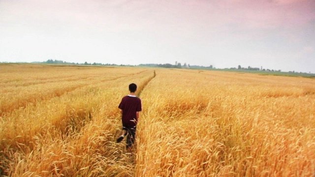 Tôi chỉ yêu người lạ (Innocent 2005)