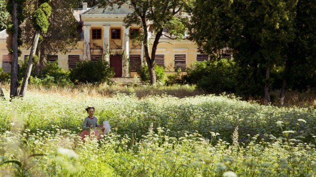 Trái Tim Bươm Bướm (A Butterfly's Heart 2022)