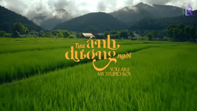Tựa Ánh Dương Ngời (You Are My Stupid Boy 2022)