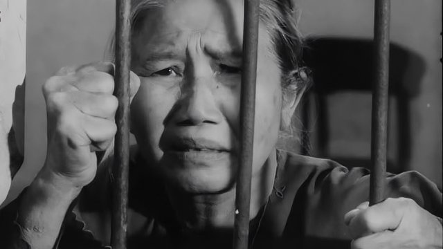 Tướng Về Hưu (The General Retires)