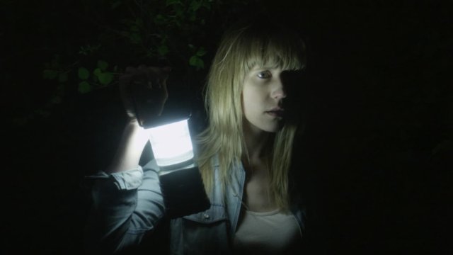 Vampyres (Vampyres 2015)