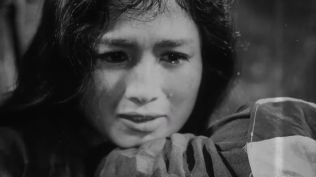 Vĩ Tuyến 17 Ngày Và Đêm (17th Parallel, Nights and Days)