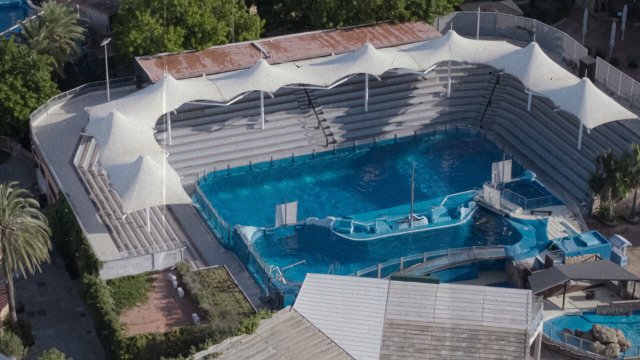 Vua cá heo cuối cùng (The Last Dolphin King 2022)